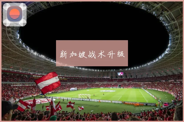 新加坡战术升级