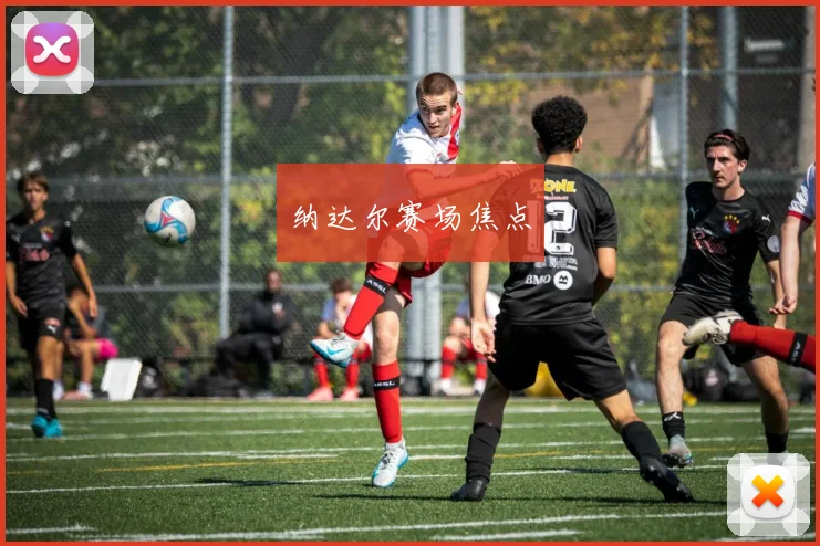 纳达尔赛场焦点