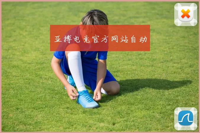 亚搏电竞官方网站自动
