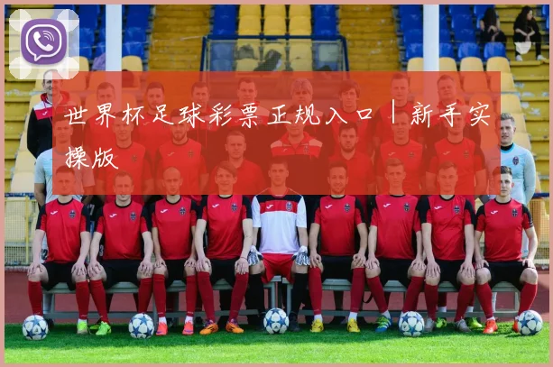 世界杯足球彩票正规入口｜新手实操版