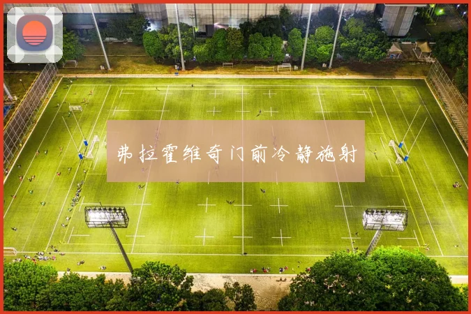 弗拉霍维奇门前冷静施射