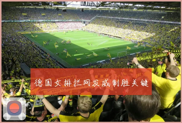 德国女排拦网发威制胜关键