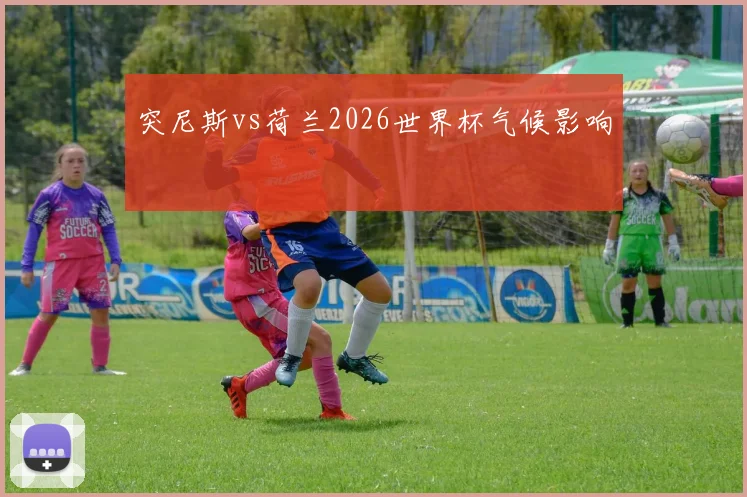 【MK体育 - MK SPORTS中国官方网站】突尼斯vs荷兰2026世界杯气候影响