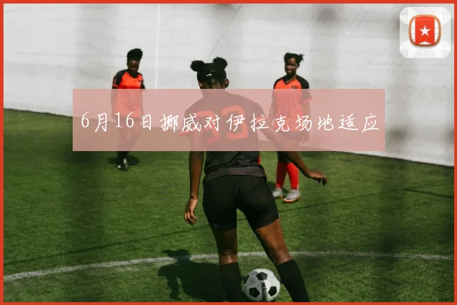 6月16日挪威对伊拉克场地适应 — 详细说明