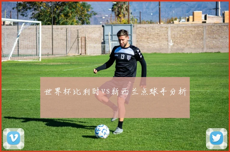 世界杯比利时vs新西兰点球手分析