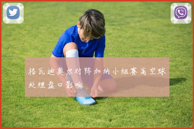 关于「格瓦迪奥尔对阵加纳小组赛高空球处理盘口影响」