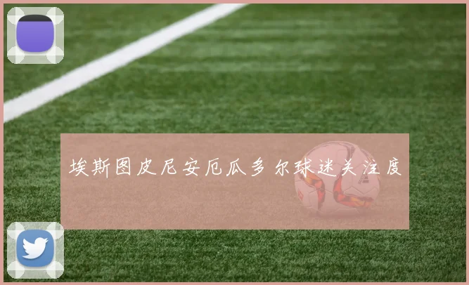 【MK体育 - MK SPORTS中国官方网站】埃斯图皮尼安厄瓜多尔球迷关注度