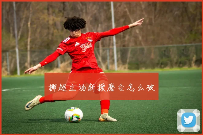 挪超主场新援磨合怎么破