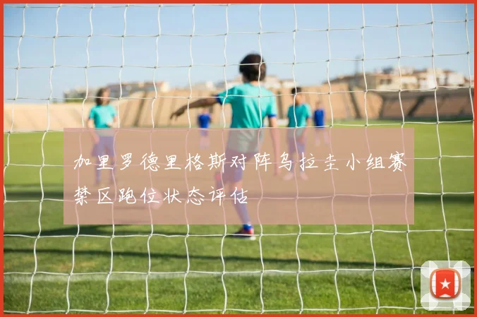 加里罗德里格斯对阵乌拉圭小组赛禁区跑位状态评估